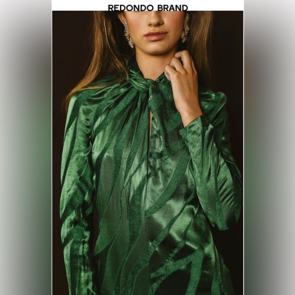 Brand new, beautiful Redondo Brand green dress. Never been worn, tags still on.